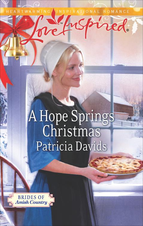 Hope Springs Christmas, Brides of Amish Country