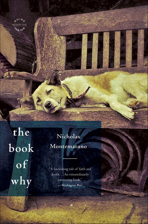 Book of Why
