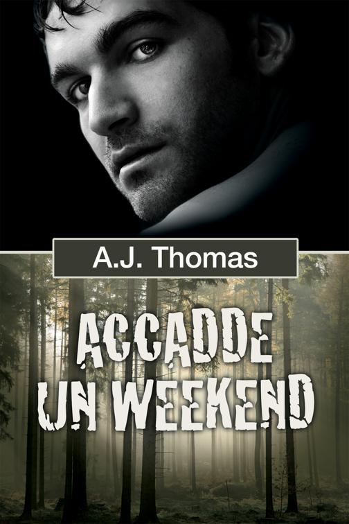 Accadde un weekend, Serie Colleghi improbabili