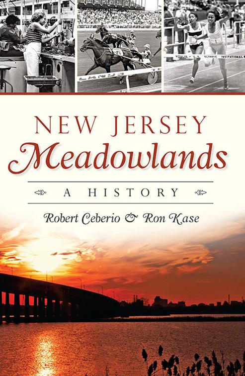 New Jersey Meadowlands, Brief History