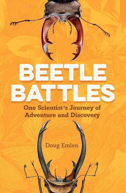 Beetle Battles
