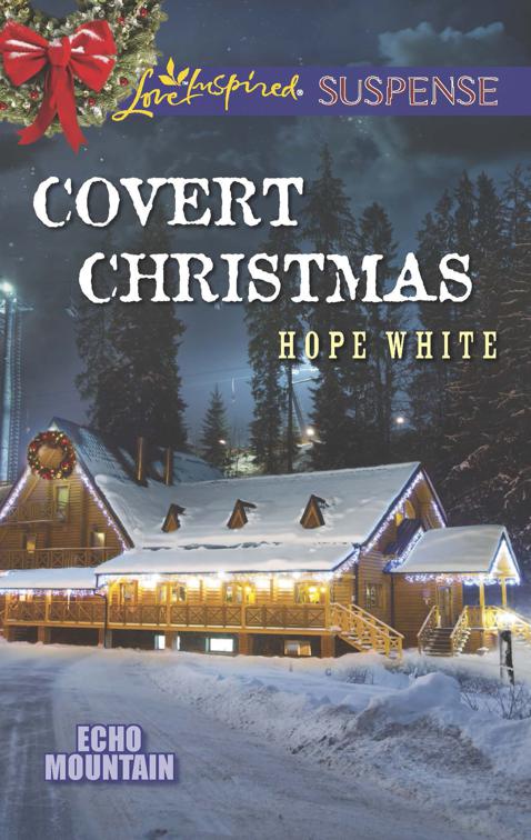 Covert Christmas, Echo Mountain