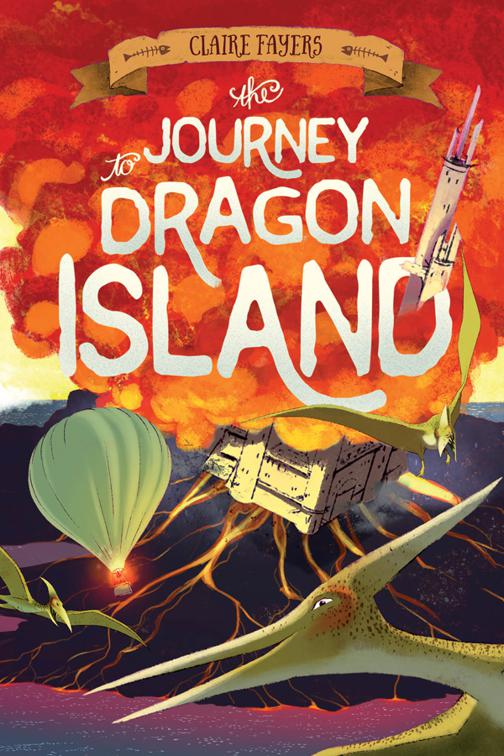 Journey to Dragon Island, The Accidental Pirates