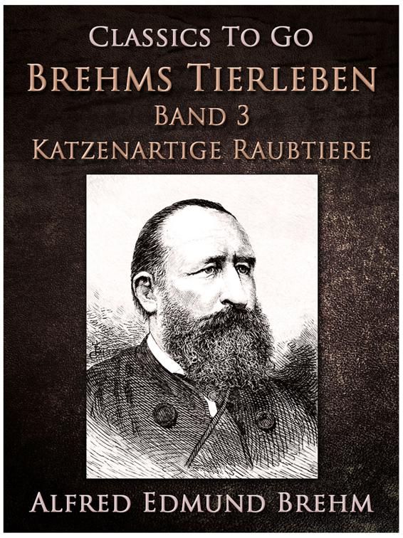 Ein stummer Musikant. Die Geschichte einer Künstlerliebe, Classics To Go