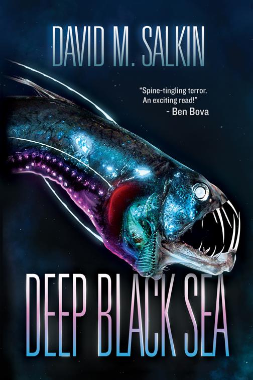 Deep Black Sea, Deep Black Sea