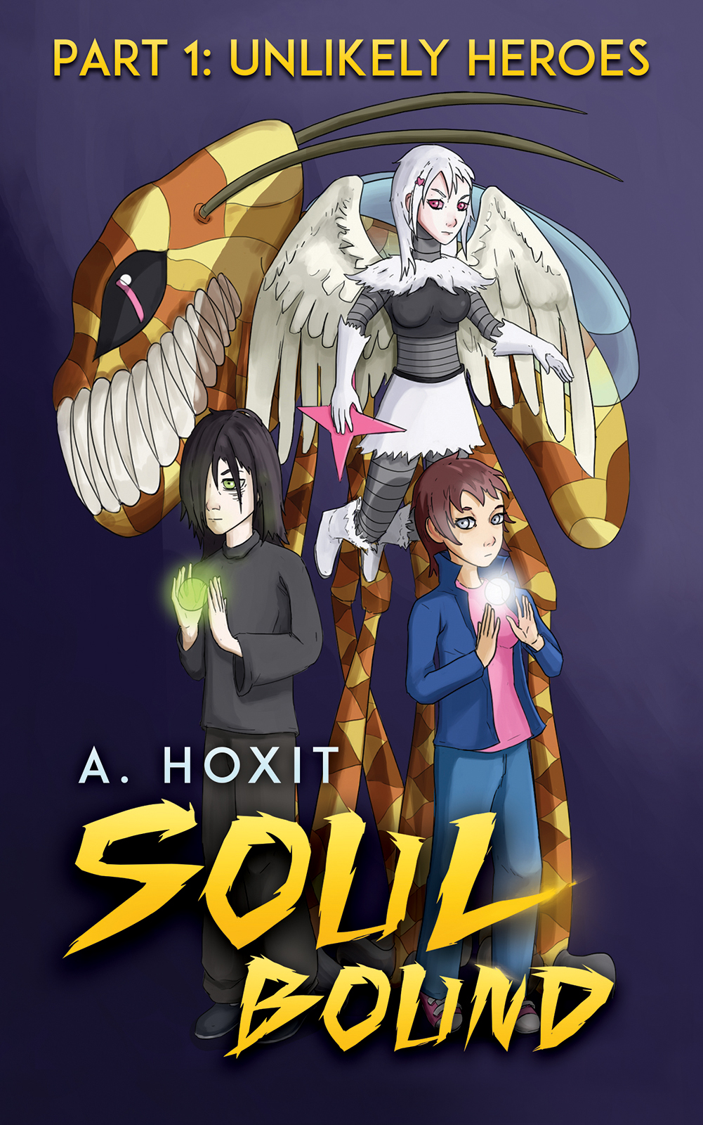 This image is the cover for the book Soul Bound