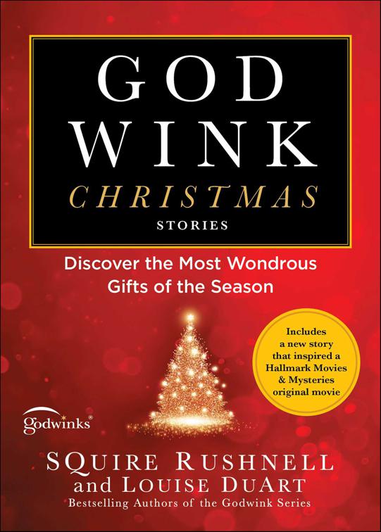 Godwink Christmas Stories, The Godwink Series