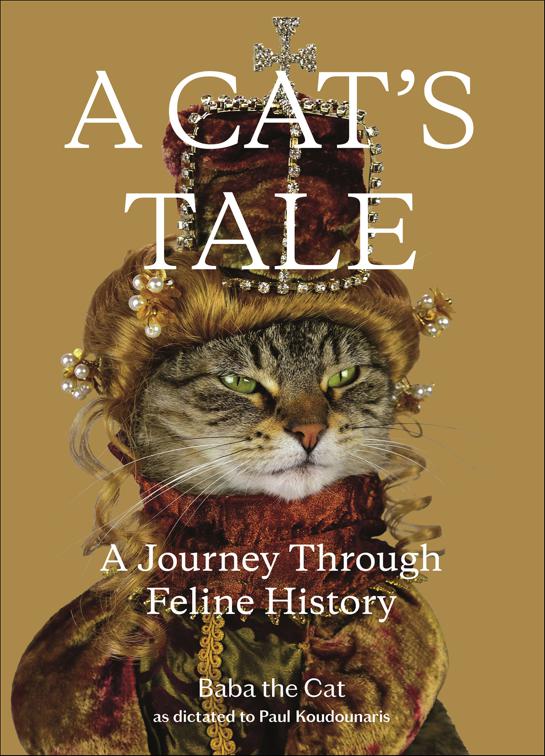 A Cat&#x27;s Tale