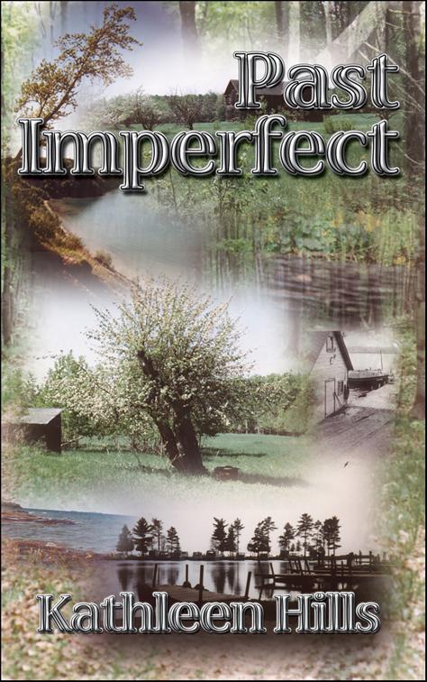 Past Imperfect, John McIntire Mysteries