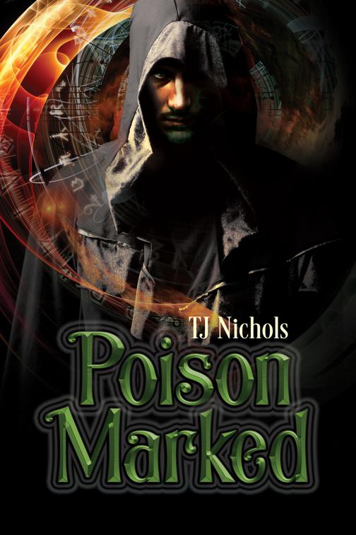 This image is the cover for the book Poison Marked, 2017 Advent Calendar - Stocking Stuffers