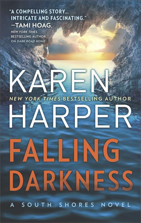 Falling Darkness, The South Shores Novels