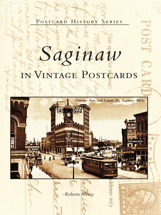 This image is the cover for the book Saginaw in Vintage Postcards, Postcard History