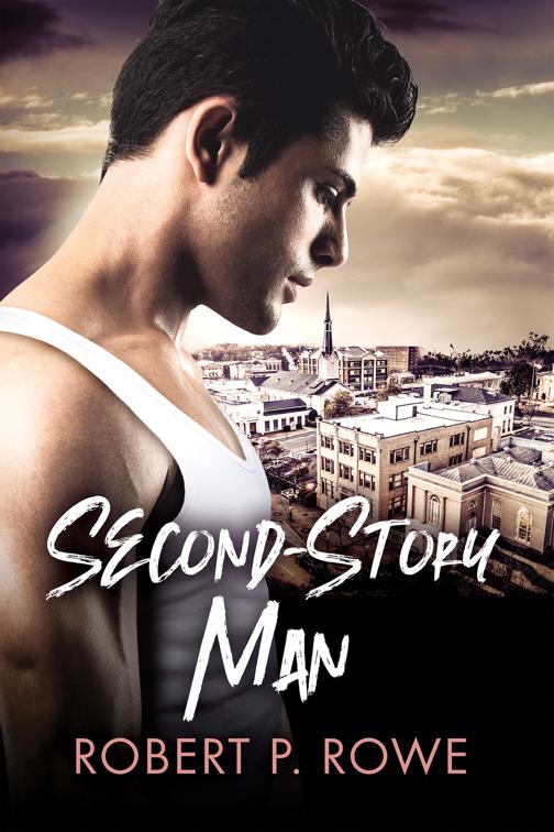 This image is the cover for the book Second-Story Man