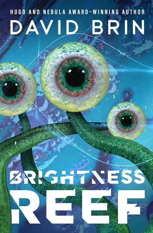 Brightness Reef, The Uplift Saga