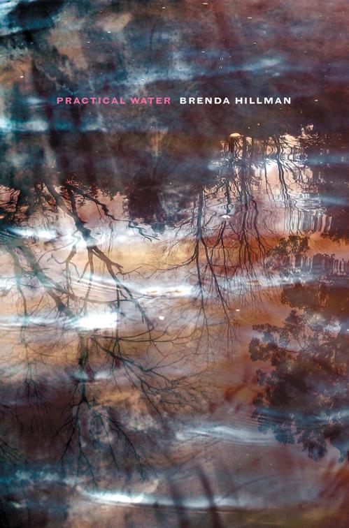 Practical Water, Wesleyan Poetry Series