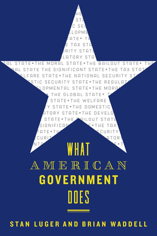 What American Government Does