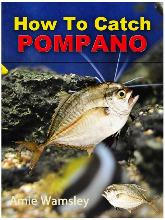 How To Catch Pompano, Correct Times