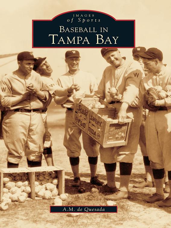 Baseball in Tampa Bay, Images of Sports