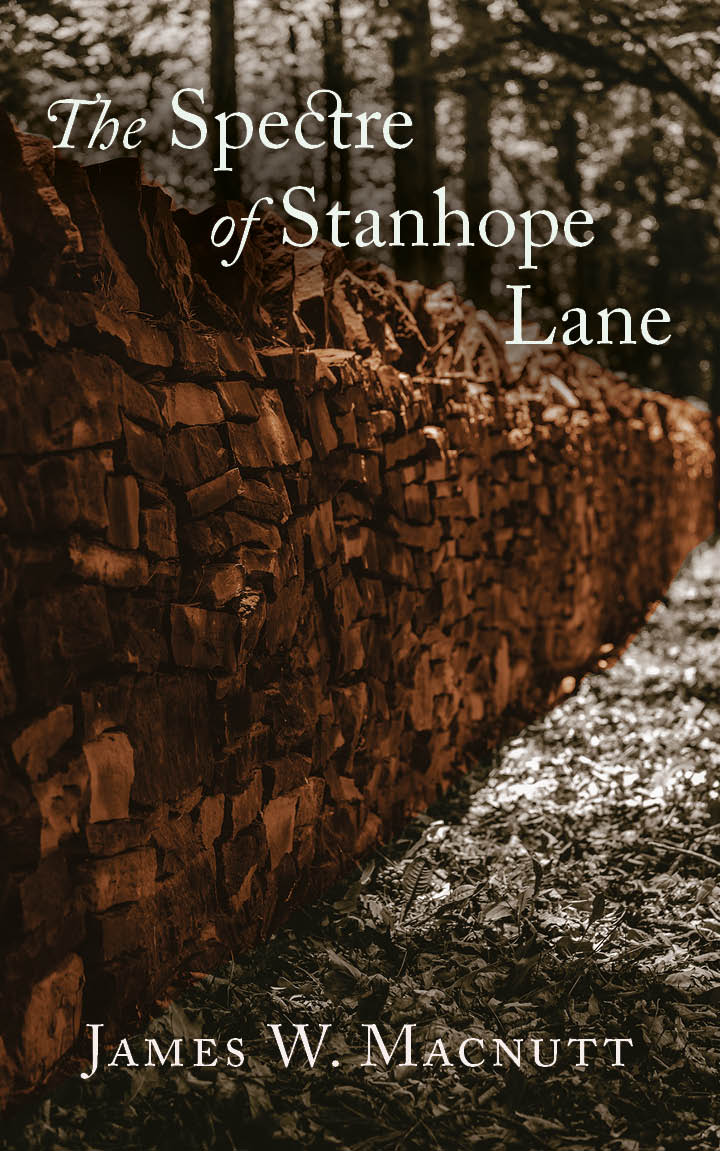 This image is the cover for the book The Spectre of Stanhope Lane