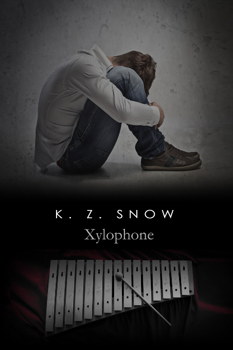 This image is the cover for the book Xylophone