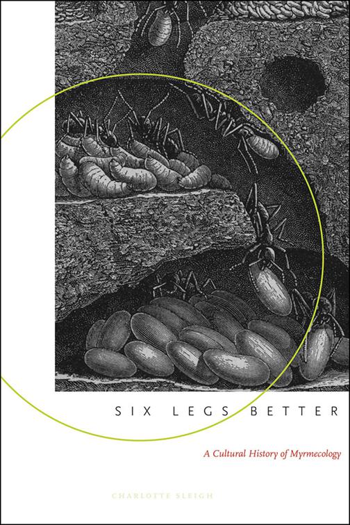 Six Legs Better, Animals, History, Culture