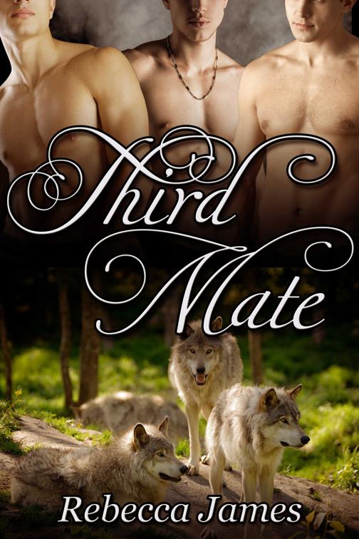 This image is the cover for the book Third Mate, River Wolf Pack
