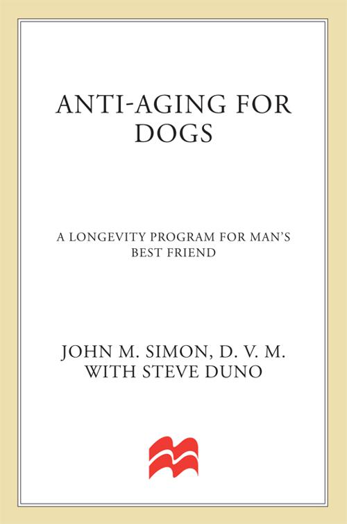 Anti-Aging for Dogs