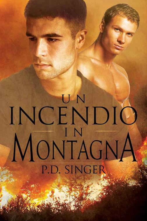 Un incendio in montagna, Serie Le montagne