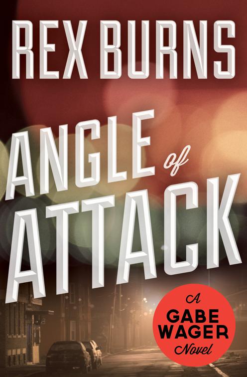 Angle of Attack, The Gabe Wager Novels