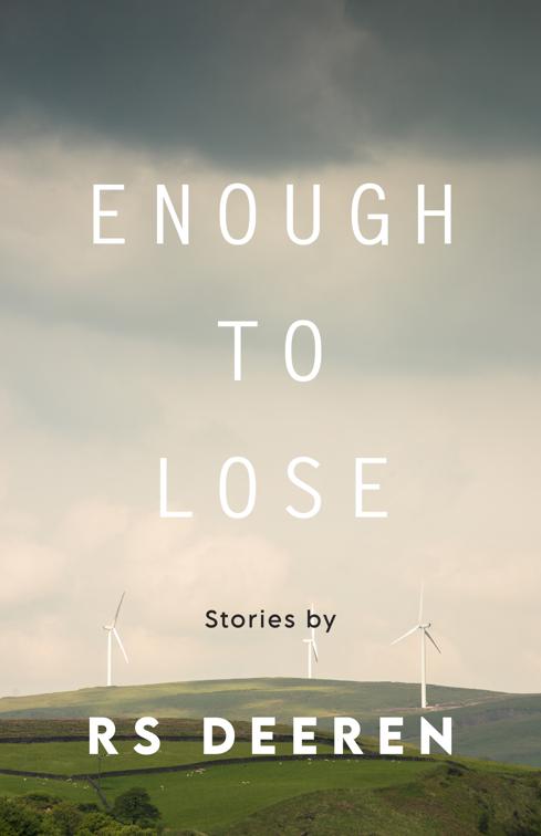 Enough to Lose, Made in Michigan Writers Series