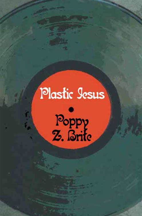 This image is the cover for the book Plastic Jesus