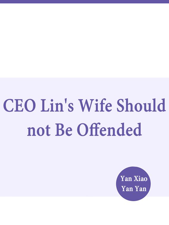CEO Lin&#x27;s Wife Should not Be Offended, Volume 1