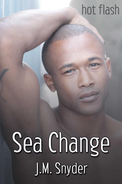 This image is the cover for the book Sea Change, Hot Flash