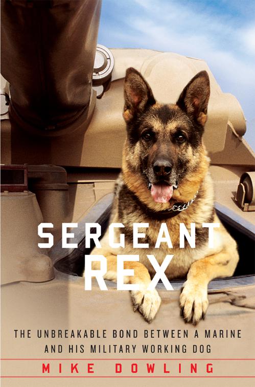 Sergeant Rex
