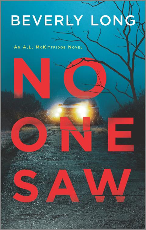 No One Saw, The A.L. McKittridge Novels