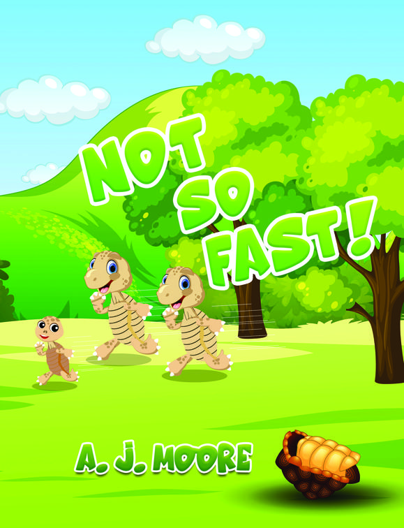 Not So Fast!