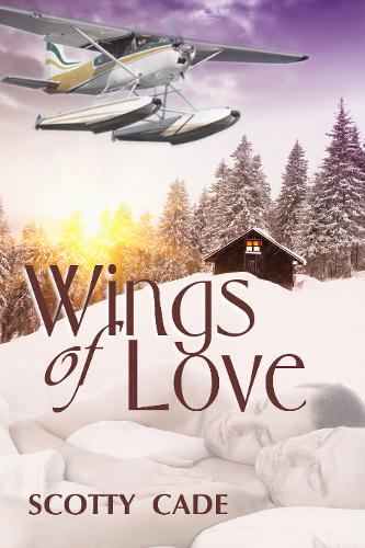 This image is the cover for the book Wings of Love, Love Series