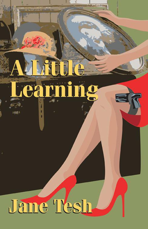 Little Learning, Madeline Maclin Series