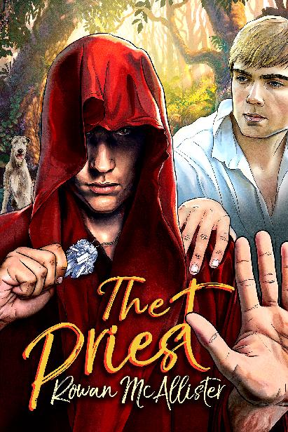 This image is the cover for the book The Priest, Chronicles of the Riftlands