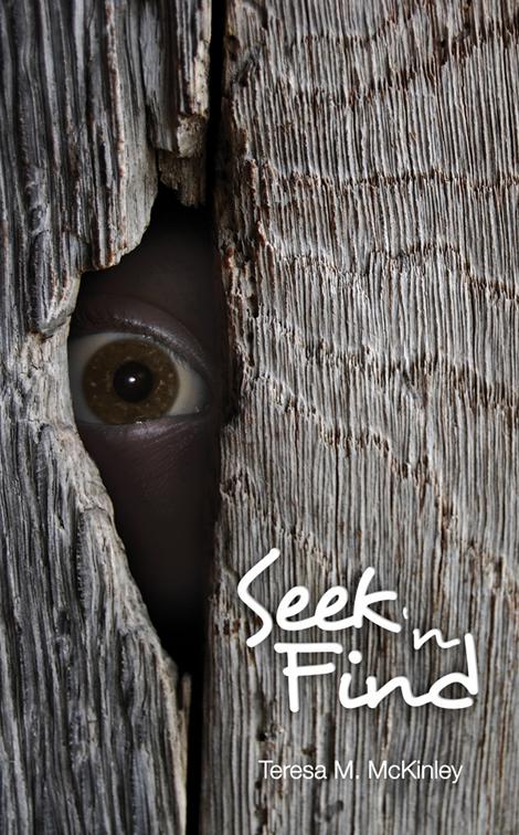 This image is the cover for the book Seek 'N Find