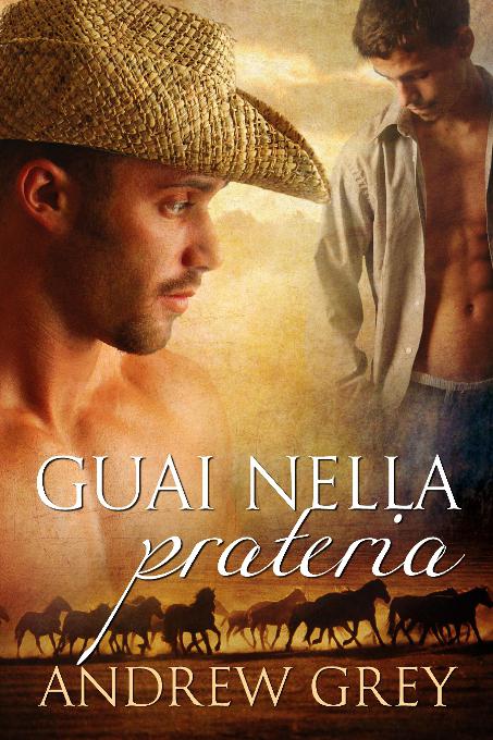 This image is the cover for the book Guai nella prateria, Storie della prateria