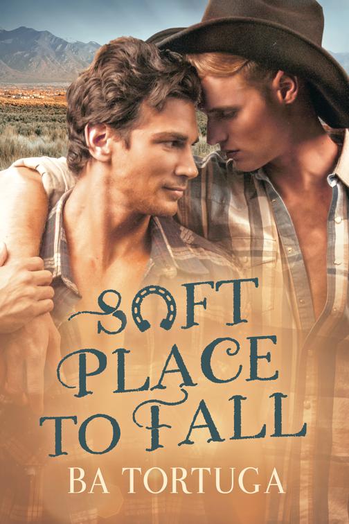 This image is the cover for the book Soft Place to Fall