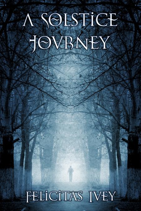 This image is the cover for the book A Solstice Journey