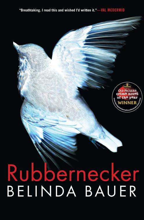 Rubbernecker