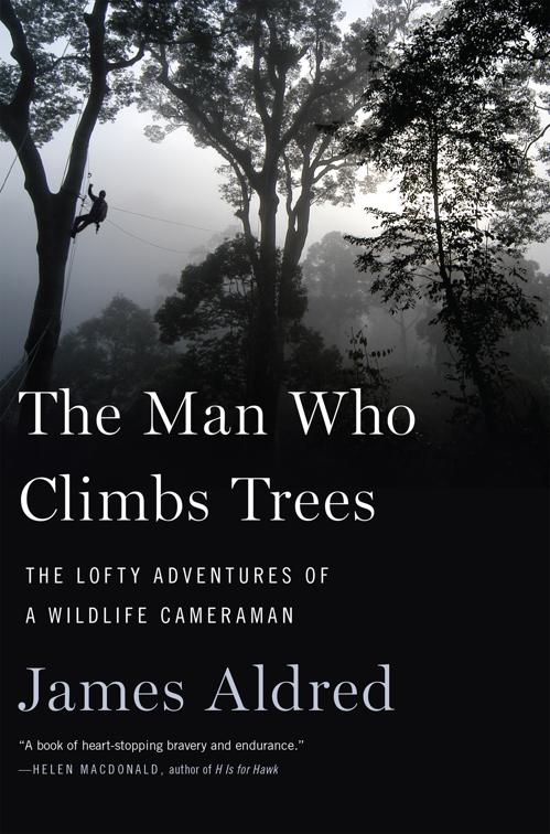 Man Who Climbs Trees