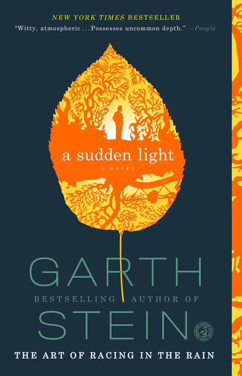 This image is the cover for the book Sudden Light