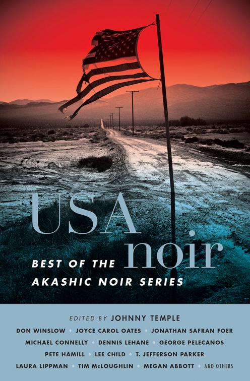 USA Noir, Akashic Noir