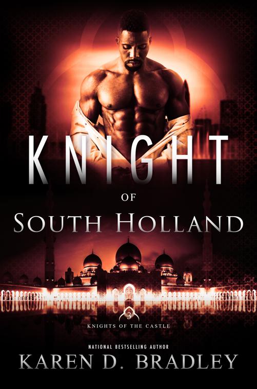 Knight of South Holland, Knights of the Castle