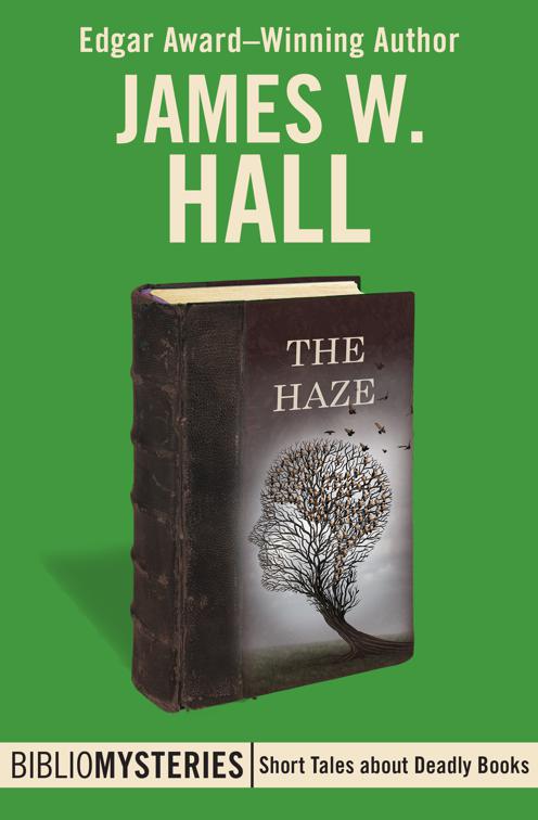 Haze, Bibliomysteries
