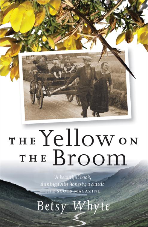 Yellow on the Broom
